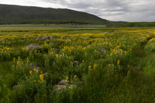 USA-Utah-Fish Lake Camping Adventure